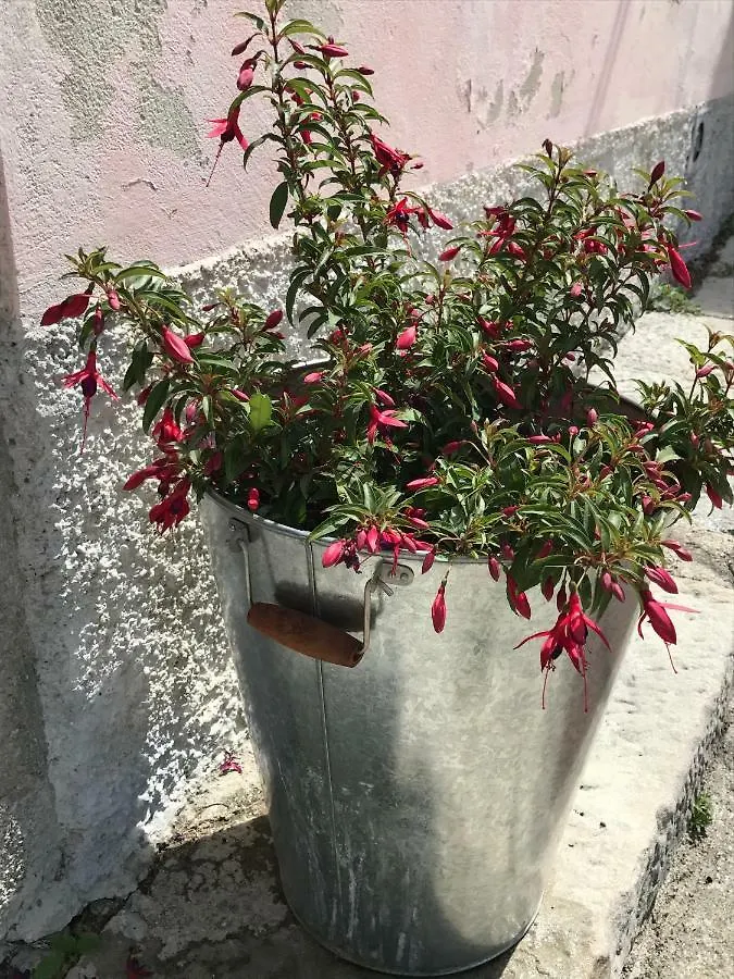 Apartment Arka 1 Labin   Labin (Istria)